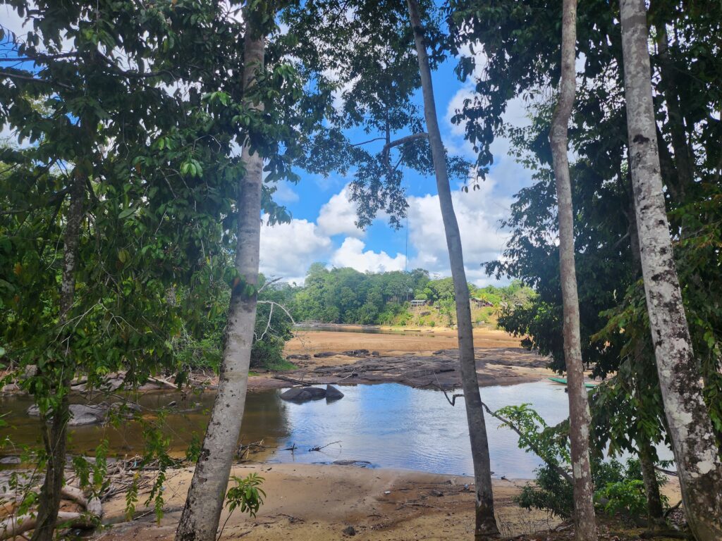 A view I would have missed if I didn't overcome my fear as a writer:  the rainforest and trees in the foreground with the Suriname River and more rainforest beyond the river.